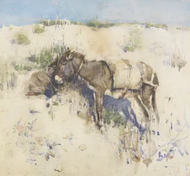 Tangier, 1887